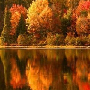 Meet your Posher, Cynthia